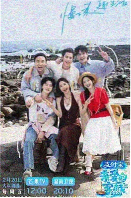 言情小说《她与星河皆过客》封面